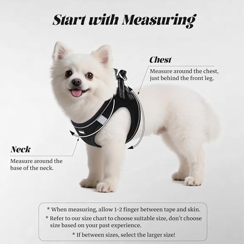 YIMEIS Dog Harness and Leash Set, No Pull Soft Mesh Pet Harness, Reflective Adjustable Puppy Vest for Small Medium Large Dogs, Cats (Black, X-Small (Pack of 2)) - Image 2