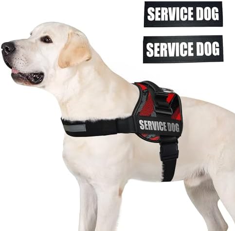 ALBCORP Service Dog Vest Harness – Reflective Service Animal Vest, No-Pull Harness with Handle & Mesh Padding – Sizes XXS-XL for Puppies – 2 Removable Service Patches Included (Extra Large, Red Camo) - Image 2