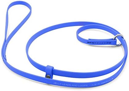 Jelly Pet Grooming Lead for Dogs | Great for Kennels, Veterinarians and Dog Grooming Salons | Biothane Leash - Easy to Clean, Waterproof & Durable Noose Loop | Made in USA | 3/8'' x 4' Royal Blue by GroomersPro