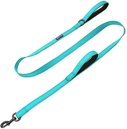 Max and Neo Double Handle Traffic Dog Leash - Reflective, Donates to Dog Rescue (Teal, 4 FT) by MaxandNeo