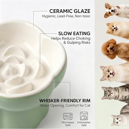Ceramic Elevated Slow Feeder Cat Bowl, Whisker Friendly Dish 5.7" - Image 2