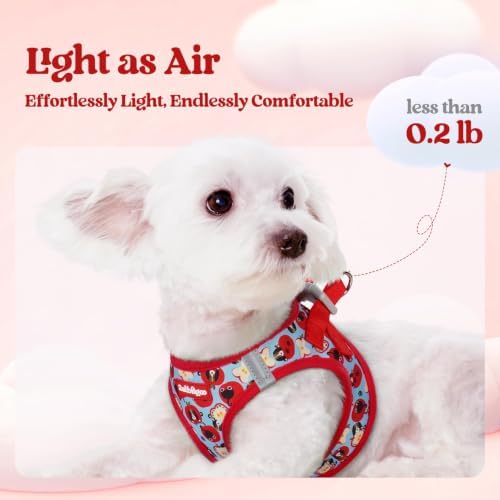rabbitgoo Dog Harness Small Sized and Leash Set, Step-in Puppy Pet Vest - Image 3