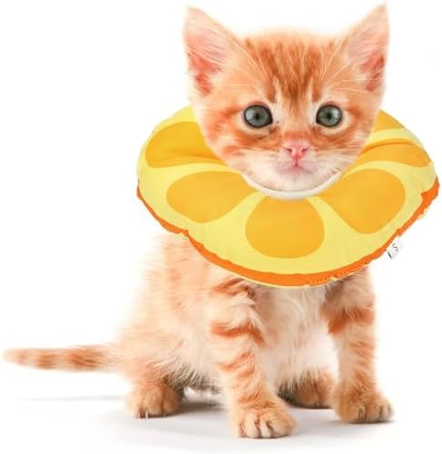 Kitten Cones After Surgery 0-6 Months, Donut Extra Small Cone Collar by Jevnd