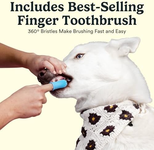 Jasper Dog Tooth Brushing Kit and Dog Toothpaste (Chicken) Kit 360 - Image 6