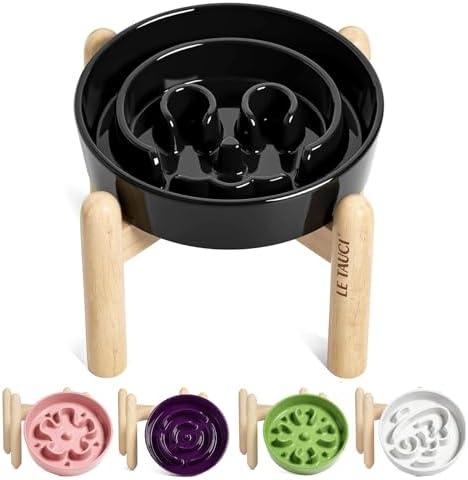 LE TAUCI Ceramic Slow Feeder Dog Bowls Elevated, 0.6 Cups Raised Dog Bowl with Wooden Stand for Small Breed, Pet Dishes to Slow Down Eating, Skull Black by LETAUCI
