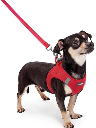 rabbitgoo Dog Harness Small Sized and Leash Set, Step-in Puppy Pet Vest by rabbitgoo