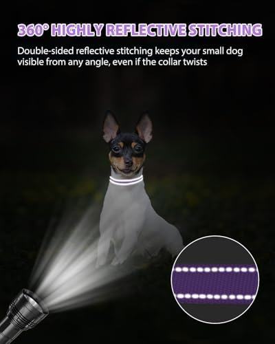 Joytale Feather-Light Puppy Collar for Extra Small Dogs, 3/8", Purple - Image 5
