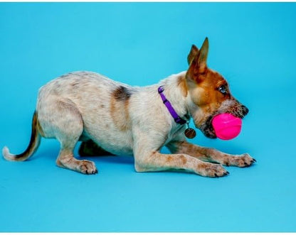 Dura Play Small Ball Dog Toy, Latex, 1ct, Interactive Fun, Safe & Non-Toxic, Outdoor & Indoor Play, Flexible, Yet Durable, Small, 3 Pack - Image 4
