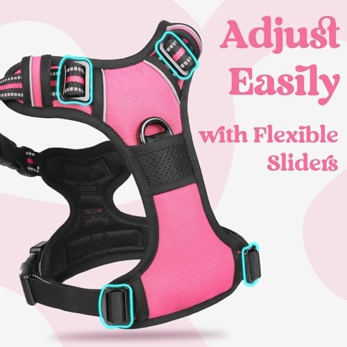 rabbitgoo Dog Harness for Large, Updated Easy On & Off with 3 Buckles - Image 3