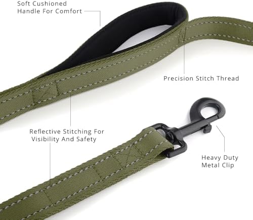 Plutus Pet Double Handle Dog Leash, 6 FT Long, for Medium Large Dogs - Image 2