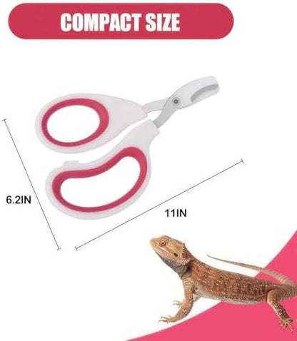 Stainless Steel Bearded Dragon Nail Clippers,Lizard Nail Clippers,Bearded Dragon Supplies,Bearded Dragon Nail Scissors for Small Reptiles,Turtle,Chameleon,Iguana，Hedgehog (Rose red) - Image 4