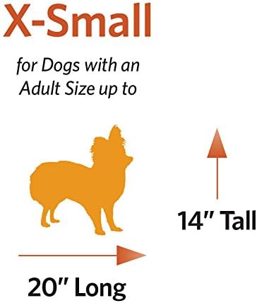 MidWest Homes for Pets Skudo Plastic Carrier, 22-Inch Ideal for XS Dog Breeds with an Adult Weight up to 12 Pounds
