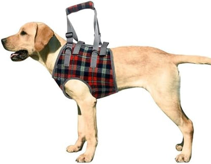 ROZKITCH Dog Lift Harness, Grid Pet Chest Support Aid Veterinarian Approved Sling for Old K9 Help with Poor Stability, Front Legs Disabled Joint Injury Elderly Arthritis ACL Rehabilitation Rehab by ROZKITCH