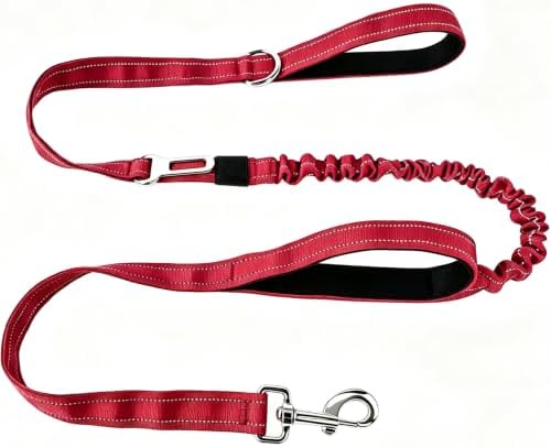 Bungee Shock Absorbing 5-6FT No Pull Heavy Duty Dog Leash, Red by Fidohug