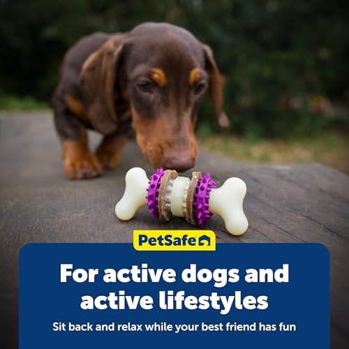 PetSafe Busy Buddy Bristle Bone, Large, Helps Keep Your Dog's Teeth Clean, Long-Lasting Playtime - Image 6
