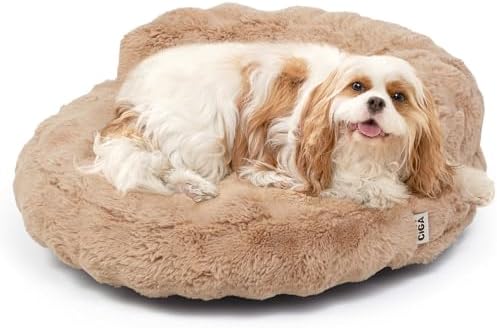EHEYCIGA Soft Cat Couch Bed for Indoor Cats, Fluffy Small Dog Bed with Removable Washable Cover, Bolster Pet Sofa, Waterproof and Non-Slip, 24" x 24"x 7", Camel by EHEYCIGA