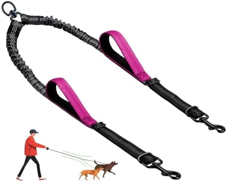 Double Dog Leash - No Tangle Splitter for Two Dogs, Coupler with Adjustable Long Lead Rope, Dual Control Handles, Retractable No Pull Bungee, Walk Train Small Medium Large 2 Pets (Fuchsia) by LEOSASA