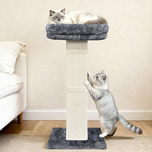 Cat Scratching Post with Plush Perch for Indoor Cats, 32 Inch, Grey - Image 6