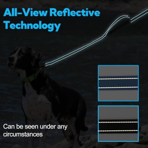 Dual-Handle Dog Leash 6FT, Heavy Duty Nylon with Reflective Threads,Blue - Image 6