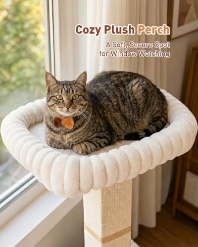 Morden Cat Scratching Post with Top Plush Bed for Indoor Cats - Image 2