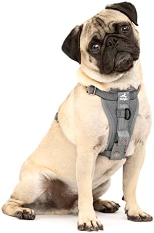 Kurgo Enhanced Strength Tru-Fit Smart Harness, Charcoal, Extra Small by Kurgo