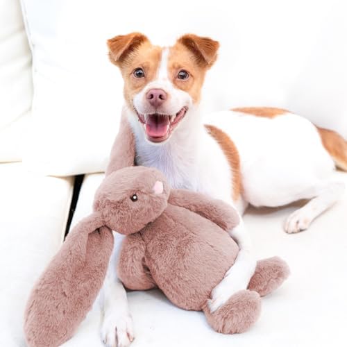 Best Pet Supplies Bunny Buddy Squeaky Plush Dog Toy - Mauve, Medium - Image 6