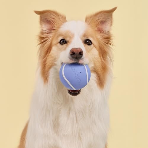 Playology Squeaky Chew Ball Dog Toy - Jumbo, Blueberry Scent - Image 3