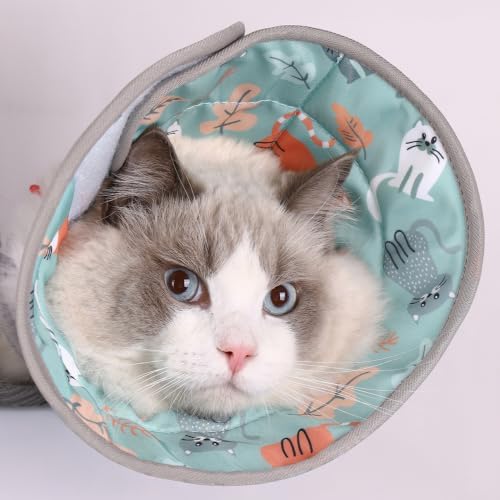 PawsPik Adjustable Soft Recovery Cone for Dogs & Cats, Medium, Light Blue by PawsPik