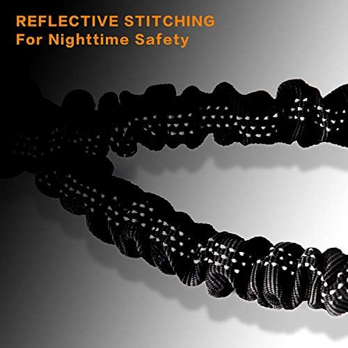 Double Dog Leash for Two Dogs - No Tangle, Comfortable Shock Absorbing Reflective Bungee Leash - Image 3