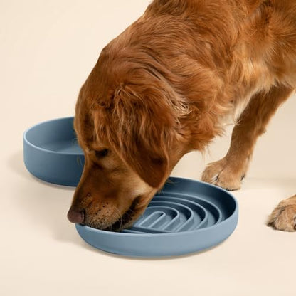 Slow Feeder Dog Bowl - Silicone Dog Bowl, Large, 9.5" x 1.5" - Ocean - Image 2