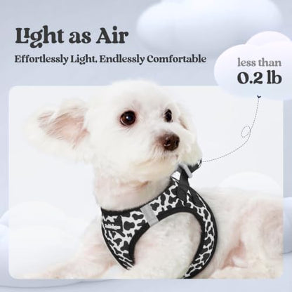 rabbitgoo Dog Harness Medium Sized and Leash Set, Step-in Puppy Pet Vest - Image 3