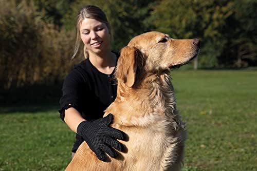 TRIXIE Pet Grooming Glove for Dogs and Cats, Cleans and Gently Softens Coat - Image 5