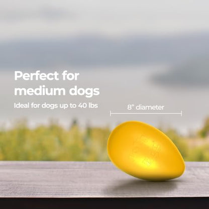 Jolly Pets Jolly Egg Herding Dog Toy, 8 in, Yellow - Erratic Roll - Image 6