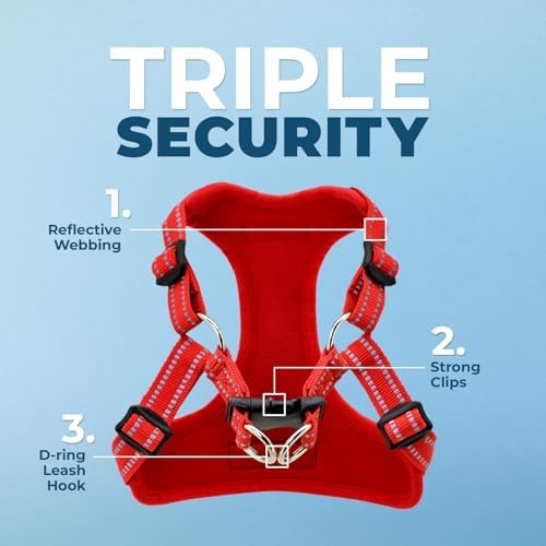 Best Pet Supplies Voyager Adjustable Step-in Flex Breathable Mesh Dog Harness for Small Medium Large Dogs Leash Set (Red), L - Image 2
