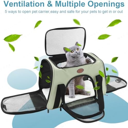 Cat Carrier Dog Carrier Pet Carriers for Medium Small Cats Dogs Puppies up to 15 Lbs,TSA Airline Approved Small Dog Cat Carriers Soft Sided,Collapsible Travel Puppy Carrier (Green, Large) - Image 5