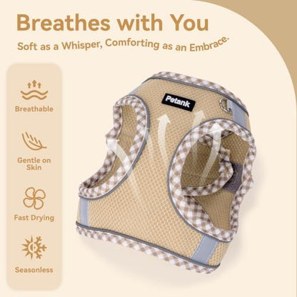 Petank Step in Dog Harness No Pull and Leash for Small Medium Dogs Cats. - Image 3