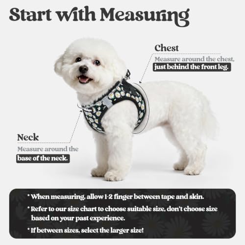 rabbitgoo Dog Harness Small Sized and Leash Set, Step-in Puppy Pet Vest - Image 2