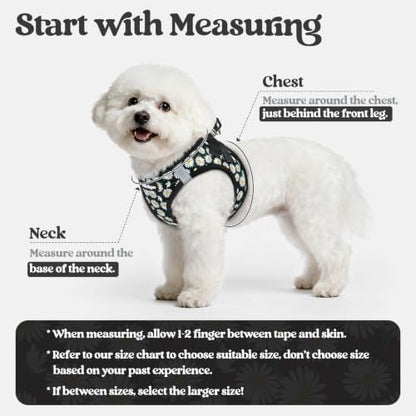rabbitgoo Dog Harness Medium Sized and Leash Set, Step-in Puppy Pet Vest - Image 2