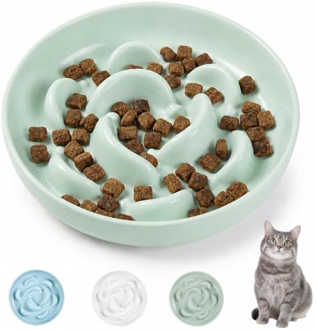 Melamine Cat Slow Feeder Bowl - Pastel Series Cat Plate for Dry and Wet Food - Cute Maze Feeder Dish for Healthy Eating - Dishwasher Safe - 6.3''W x 1.2''H - 7 OZ - Mint Green by PTOBER