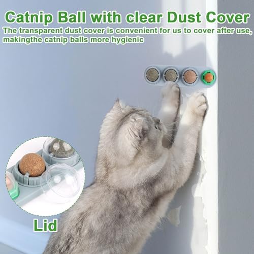 CCINEE Catnip Balls for Cats Wall Catnip Toys Edible Cat Toys for Cat Lick Safe Healthy Kitten Chew Toys Teeth Cleaning Dental Cat Toys(4 Flavor) - Image 6