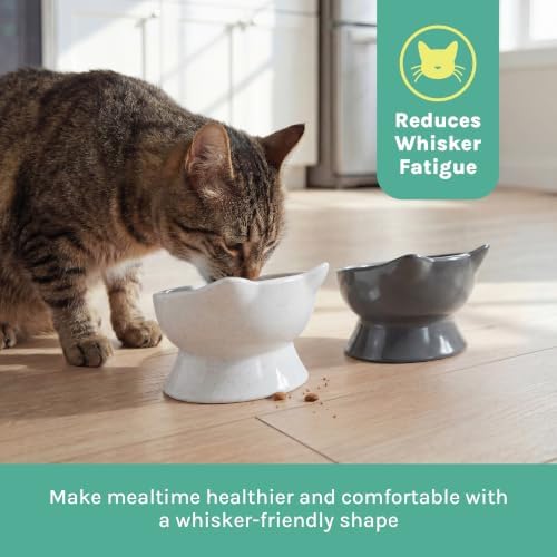 Kitty City Elevated Cat Bowls (Set of 2), Whisker-Friendly Raised Cat Food & Water Dishes, Modern Pedestal Design, Dishwasher Safe, 6.5 oz Each – White & Gray - Image 4