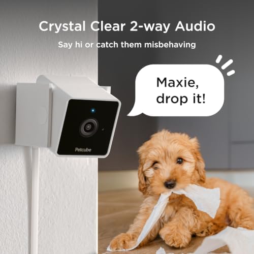Petcube Cam and Care Coverage [Subscription Required] – Wi-Fi Pet Camera - Image 4