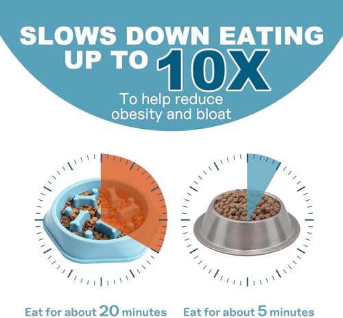 Slow Feeder Dog Bowls Anti Gulping Reduces Gastric Burden Prevents Bloat and Digestive Issues Safe Durable Material Easy to Clean Puppy Slow Feeder Bowl for Healthy Eating Excess Energy Management - Image 4