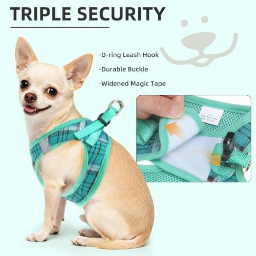 PUPTECK Dog Harness, Collar and Leash Set No Pull for Small Medium Sized - Image 5