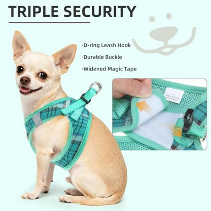 PUPTECK Dog Harness, Collar and Leash Set No Pull for Small Medium Sized - Image 5