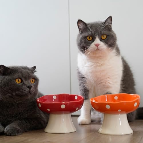 4PCS Multi-Color Mushroom Cat Bowl Set, Elevated Ceramic Bowls for Cats - Image 6