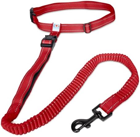 Pawtitas Reflective Red Running Handsfree Puppy or Dog Leash Padded Handle, 5 ft., Medium by Pawtitas
