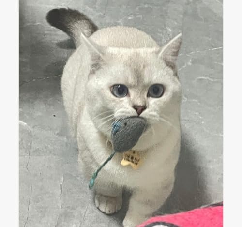 8 Pcs Plush Catnip Mice Toys with Catnip Bag- Interactive Cat Toys for Indoor Cats, Durable Stress Relief Eco-Friendly Small Mouse Chew Playthings（Color Random） - Image 5