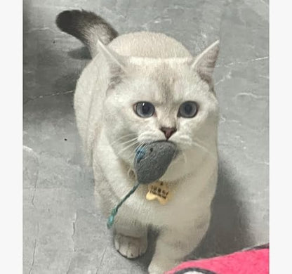 8 Pcs Plush Catnip Mice Toys with Catnip Bag- Interactive Cat Toys for Indoor Cats, Durable Stress Relief Eco-Friendly Small Mouse Chew Playthings（Color Random） - Image 5
