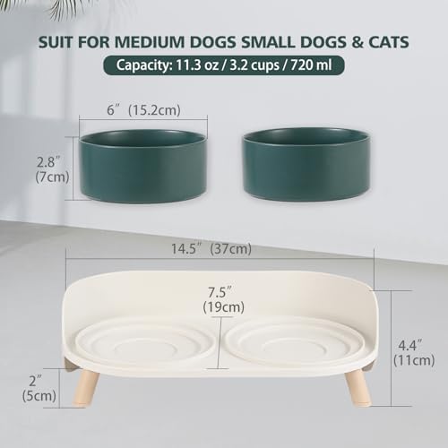 Elevated Ceramic Dog Bowl Set - Double Dog Feeding Bowls with Stand Splash Proof - Raised Dishes for Food and Water - Ideal for Small to Medium Dogs - 2 x 720 ml - 11.3 oz - Green - Image 2
